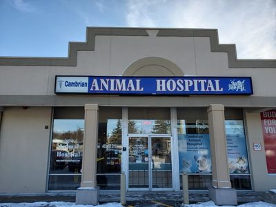 Clinic Tour - Cambrian Animal Hospital - Calgary